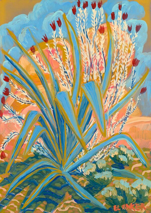 Agave Plant - Eleanor Baker