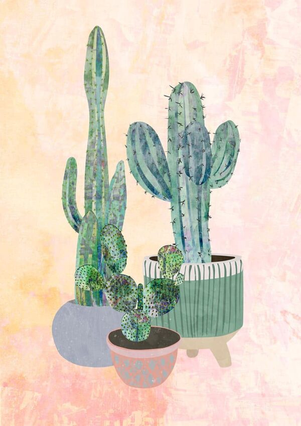 Boho Cactus