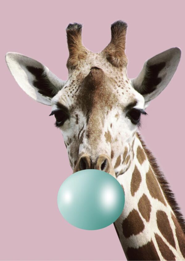 Bubblegum giraffe plakat