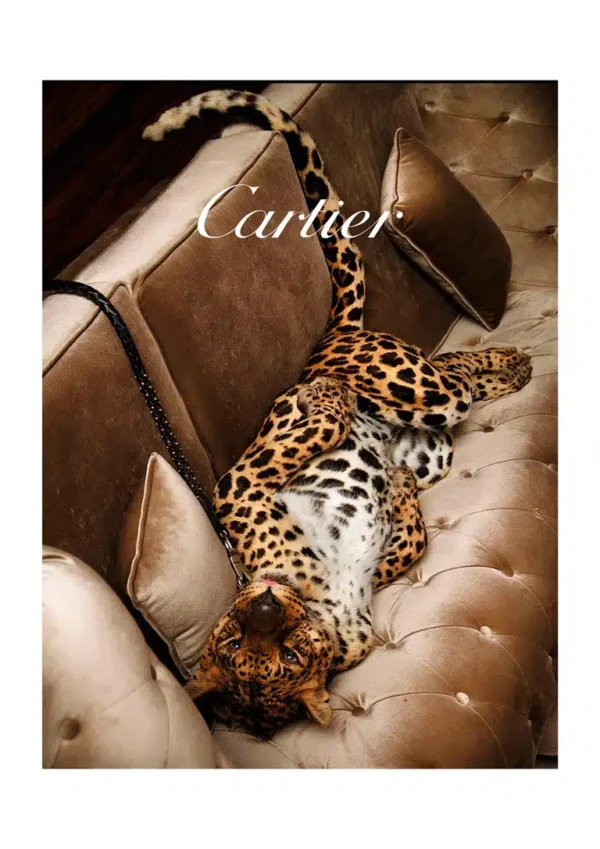 Cartier Fashion