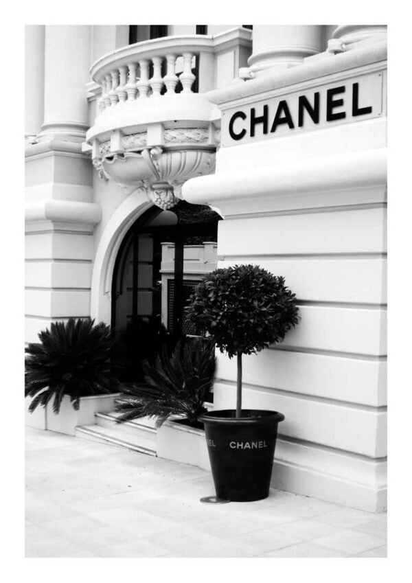 Chanel Fashion