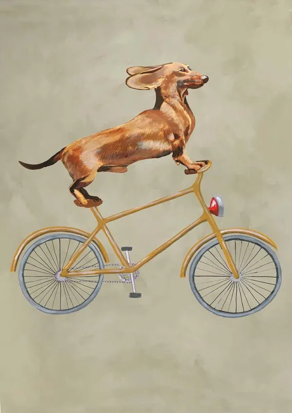 Daschund on Bicycle - Coco de Paris