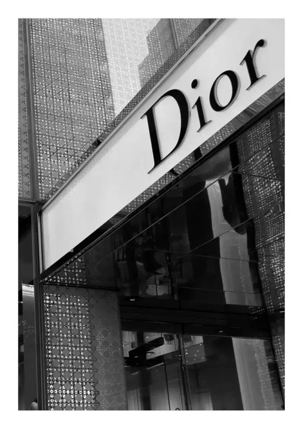 Dior Fashion