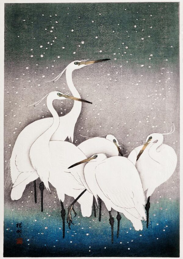 Group of egrets - Ohara Koson plakat