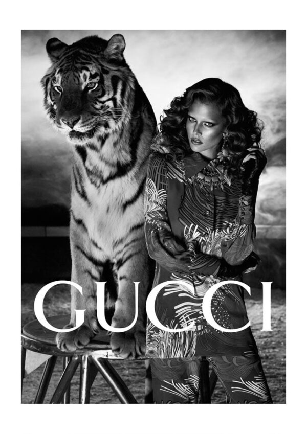 Gucci Tiger Fashion Plakat