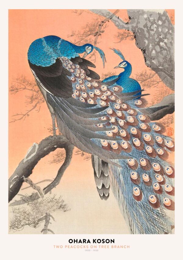 Ohara Koson - Two Peacocks Plakat