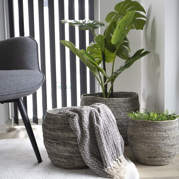 Columbine - Kurvesæt med tre kurve i grå majsblade Columbine - Kurvesæt med tre kurve i grå majsblade