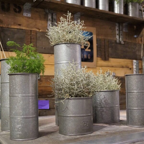 Maceta - Urtepotte i galvaniseret metal, seks potter Maceta - Urtepotte i galvaniseret metal, seks potter