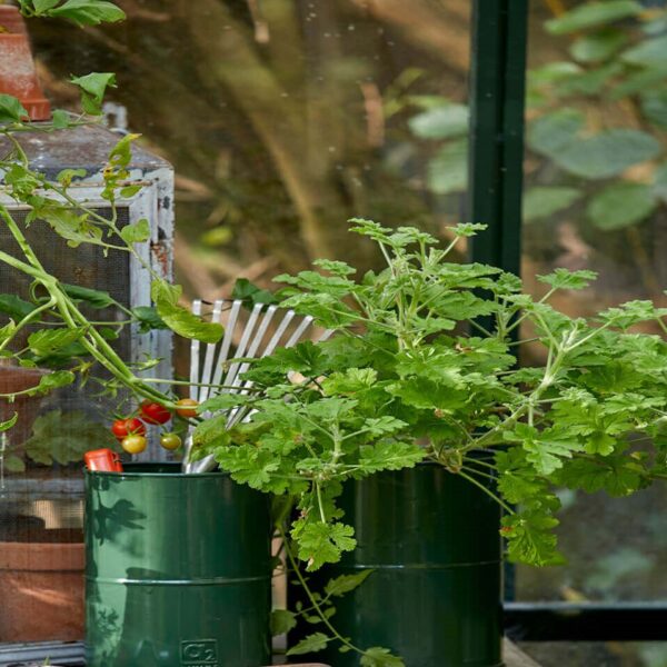 Maceta - Urtepotte i olivengrøn metal, seks potter Maceta - Urtepotte i olivengrøn metal, seks potter