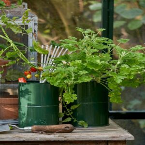 Maceta - Urtepotte i olivengrøn metal, tre potter