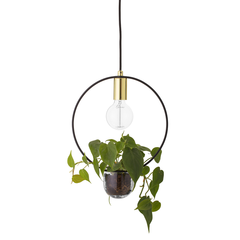 Plante Loftlampe - Cirkel 1 Plante Loftlampe - Cirkel