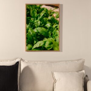 Green Leaf - Vælg mellem fire plakat størrelser 21 x 30 cm.